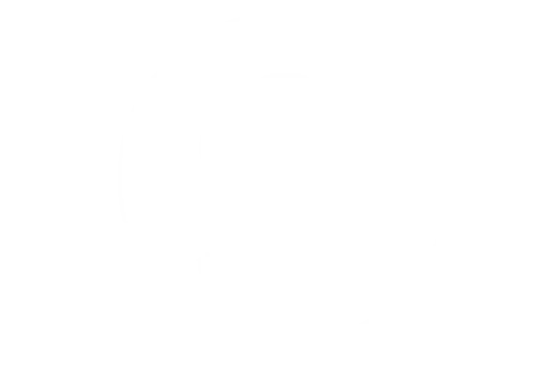 birth collective logo