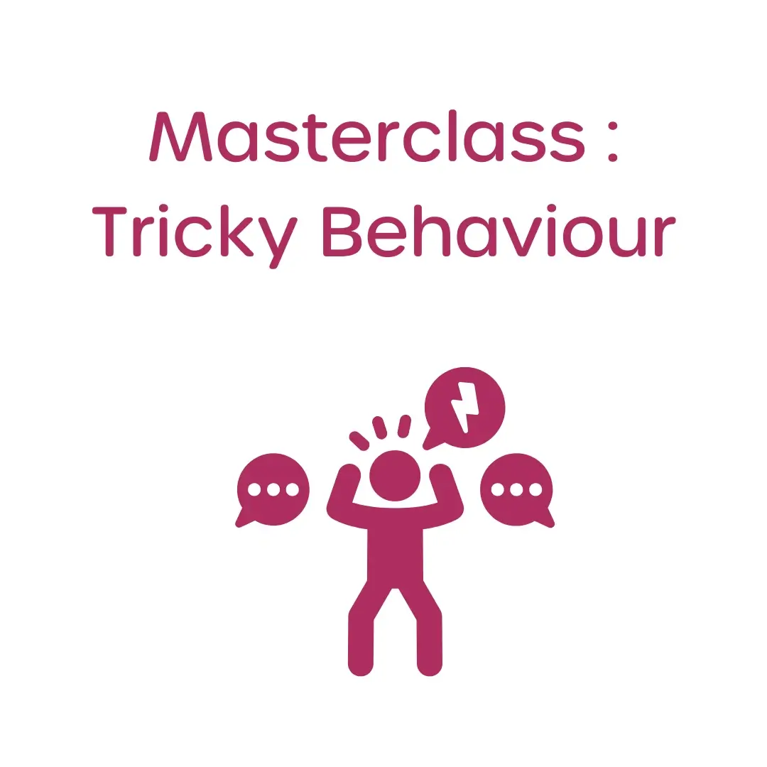 masterclass tricky toddler behaviour