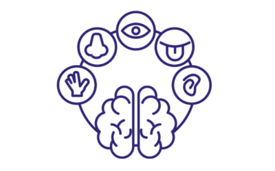 Understanding Sensory Seeking and Sensory Avoiding Behaviour at Bedtime